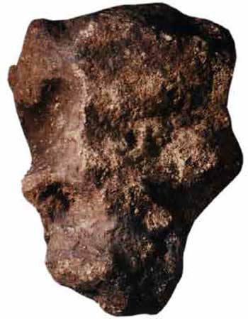 Quarzit mit Wüstenlack (21 x 13,5 cm)