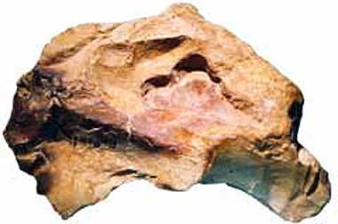 Lehmstein 13,2 cm Lippen und Wangen mit Feuer geroetet.
2 Bohransaetze. Der Linke haette die Waage gehalten.